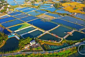 梁平：鱼塘好似大地调色盘图片