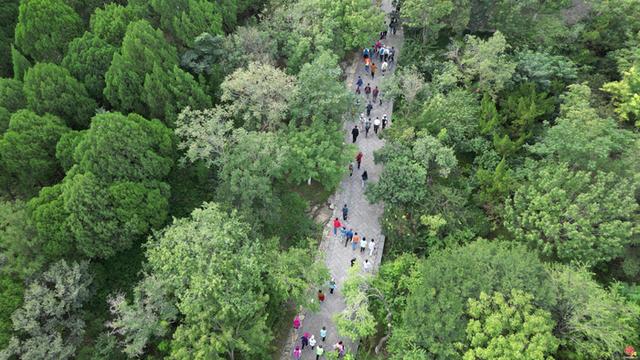 济南“一城山色”添温度！千佛山-佛慧山无障碍绿道获市民点赞