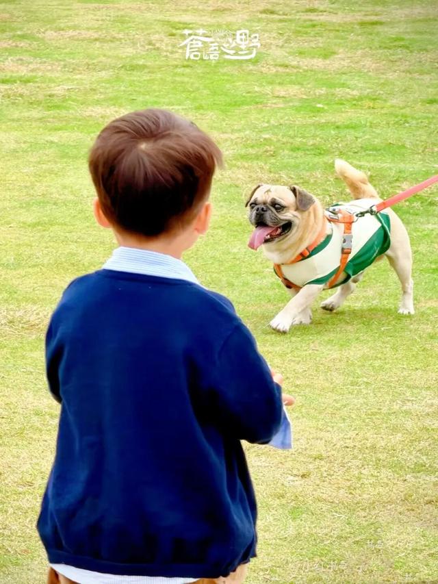 想体验明星户外生活方式？来桂海晴岚打卡《现在就出发》综艺同款山水！