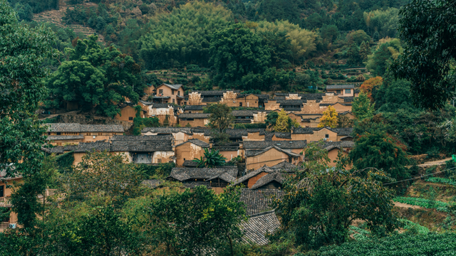 一手牵传统、一手向未来，松阳凭什么“热”力全开？