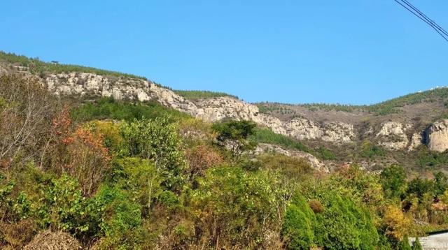 9.9元！深秋里寻一处静谧！本周六出发，打卡长清王泉摩崖石窟、义静寺！