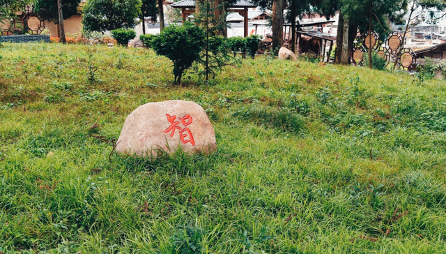 秋日citywalk新选！湖源乡柳杉公园：竹林深处的“慢时光”，专治城市焦虑