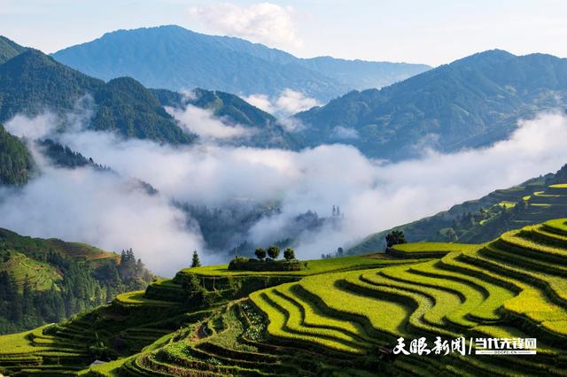 贵州从江：月亮山现云海奇观