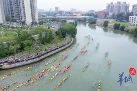450名湾区健儿在顺德开启“水上马拉松”！90支龙舟竞渡，谁将问鼎冠军？图片