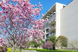 西安财经大学高层次人才高级研修班招生简章图片