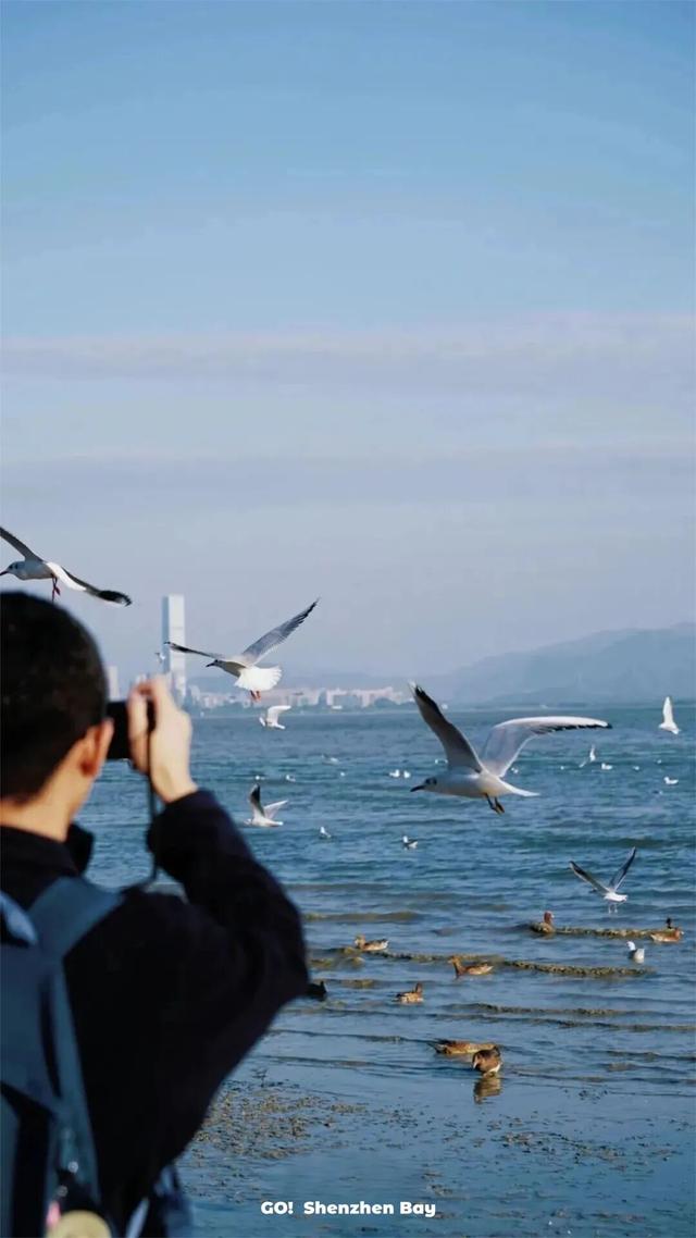 火了！深圳湾“悬浮阿姨”