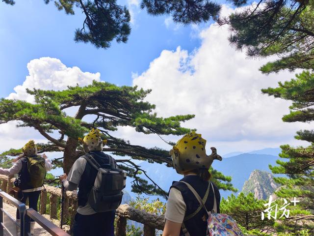 文旅破圈新“CP”：黄山之巅遇见清新桂花鱼