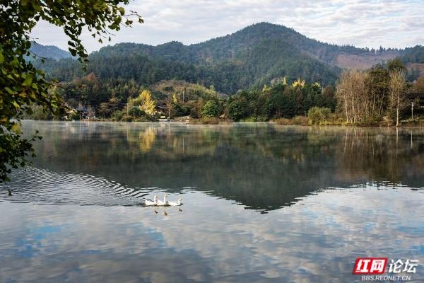 【每日一图@湖南】靖州五龙潭晨曲：雾起舟行，唤醒湘西南的生态秘境