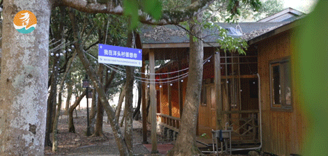 福建暖冬，又是一年好“枫”景