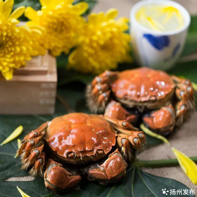 家书系列 | 致 南 通