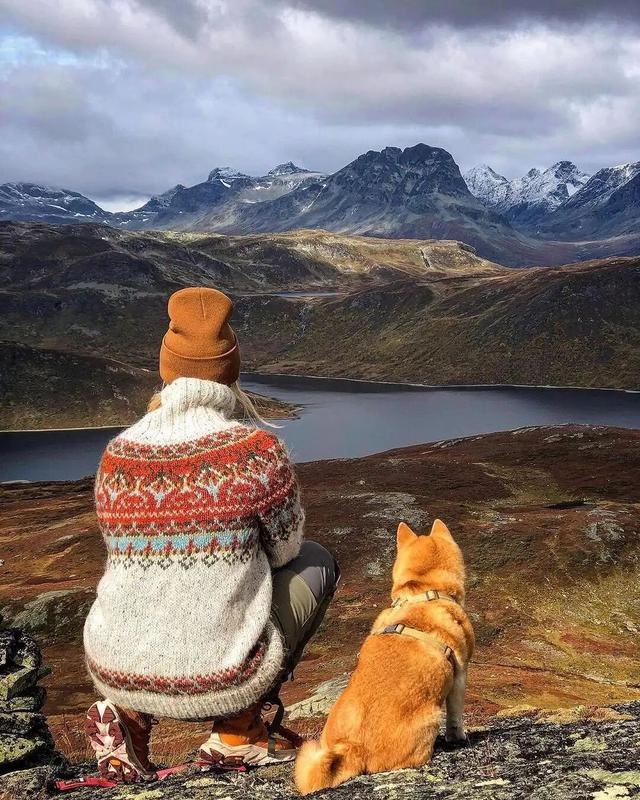 全网最快！请收下这份《花少7》同款挪威攻略