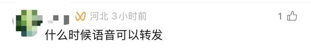 微信聊天又出新功能！网友：爱死了