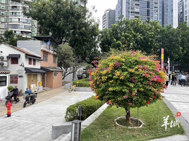 靓！广州陈家祠片区大变样！记者带你实地探“新景”｜记者走访
