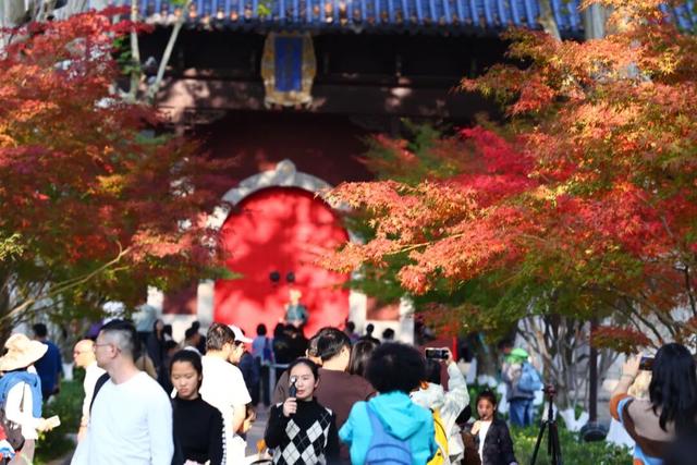 栖霞山新顶流，中式浪漫藏不住了！