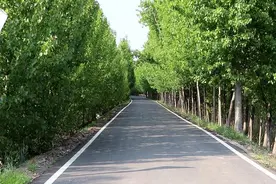 肥城：构建全域旅游交通体系，打造旅游公路肥城样板图片