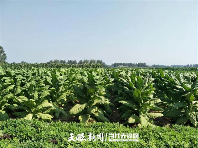 【多彩小水】绿水青山入画来,此间风景正好|多彩之绿