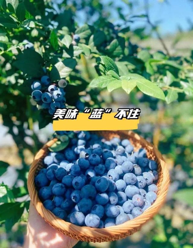 去趟句容!王炸线路有了🤩