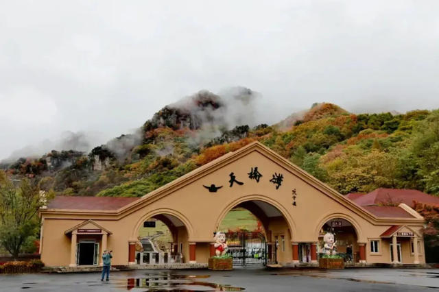 本桓宽高速解锁“流量密码” 天桥沟迎来客流小高峰