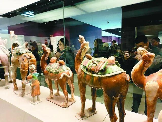 感受唐诗从典籍走入生活！