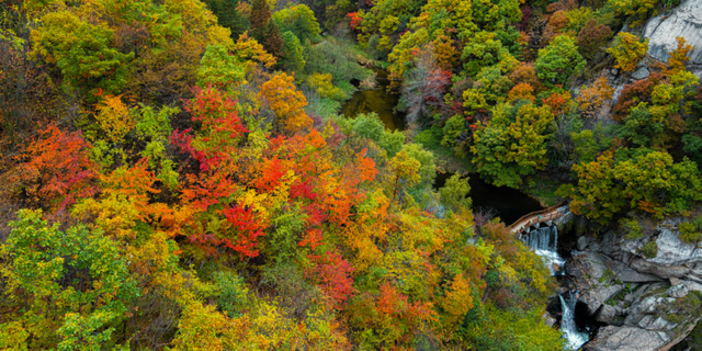 亮相央视！洛阳这些赏秋地，太美！
