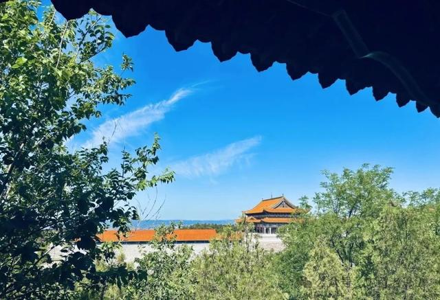 老爷山景区：志愿力量“添彩”，景区服务“升温”！