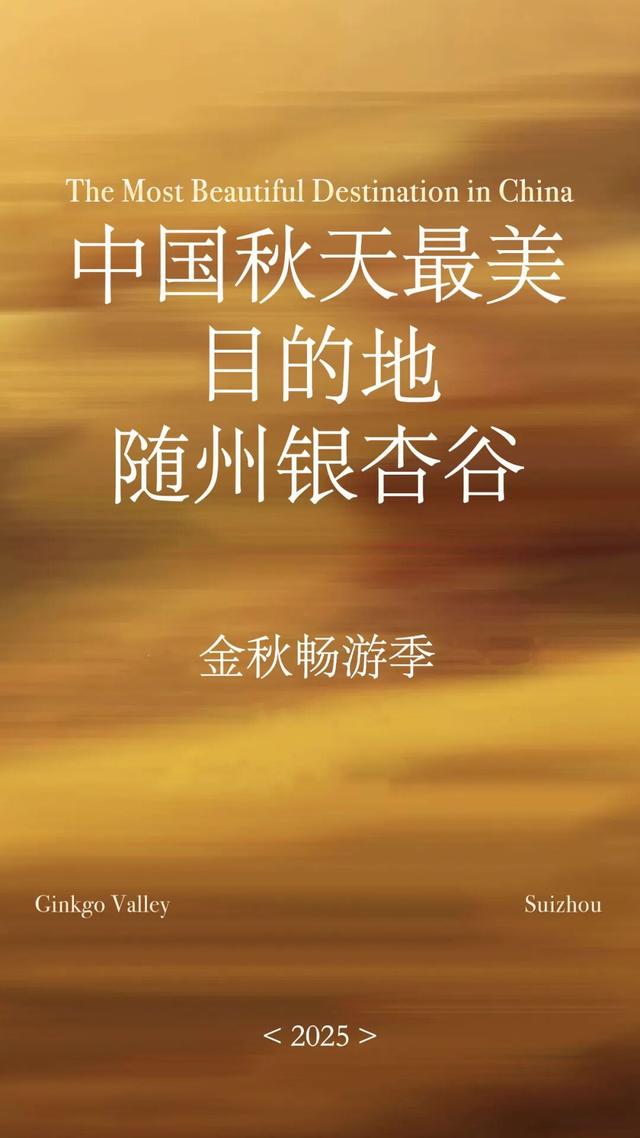 网上爆火的“银杏伞”，在银杏谷……