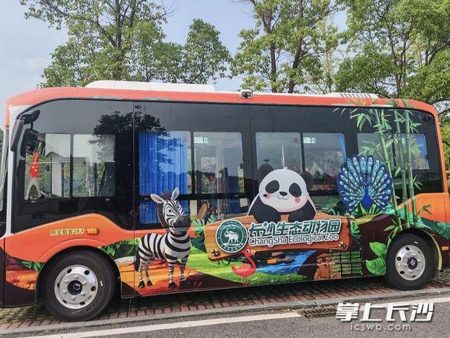 绿色出行快乐加倍，长沙生态动物园萌趣主题巴士正式运营