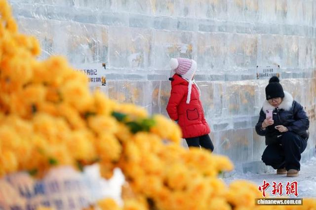 黑龙江哈尔滨：“冰封玫瑰”限定回归