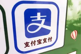 支付宝新增通话功能，对支付业务加成几何？图片