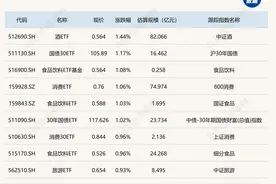 ETF今日收评 | 日经225ETF、纳指科技ETF跌停，纳指100相关ETF集体出现折价图片
