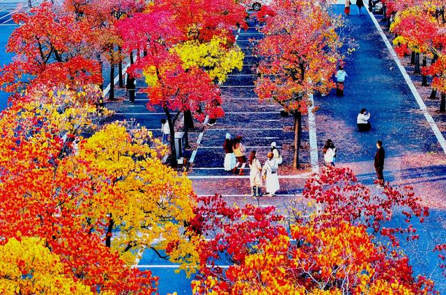 宿来拍丨五彩斑斓