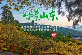 4月5日最佳情报|济南英雄山春意盎然，仲宫桃花笑春风！恭喜图片