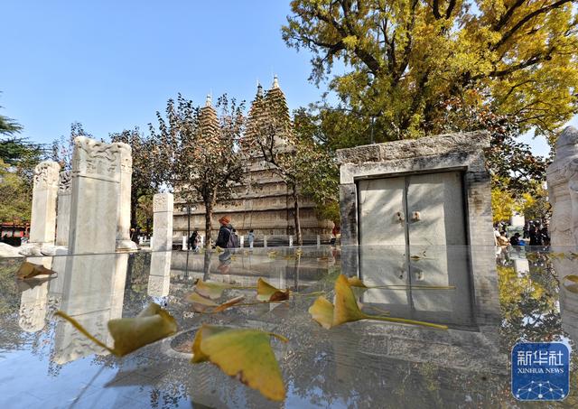 北京：五塔寺秋色浓
