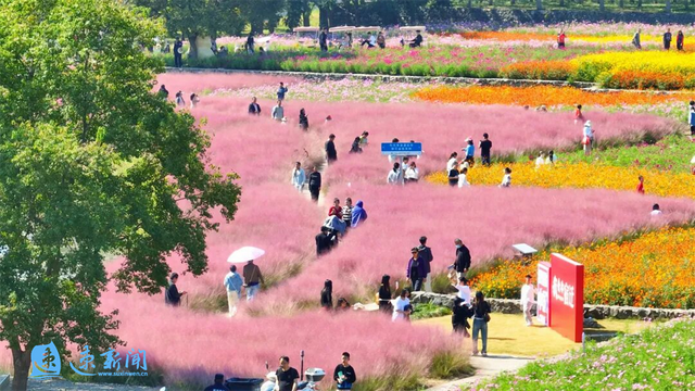 重阳节不知带爸妈去哪？宿迁这些景区免费又好玩！