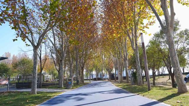 一键收藏！地铁直达的初冬漫步好去处！