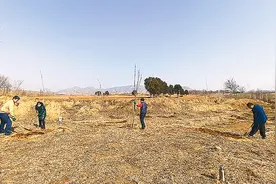 人勤春来早 植绿正当时图片