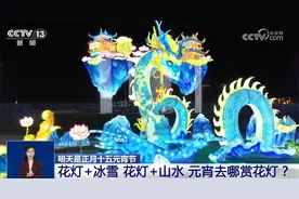 多彩民俗闹“元宵” 花灯璀璨迎佳节图片