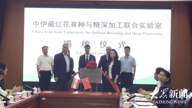 纳米科技+传统药材，中伊合作开辟药用植物增效新路径