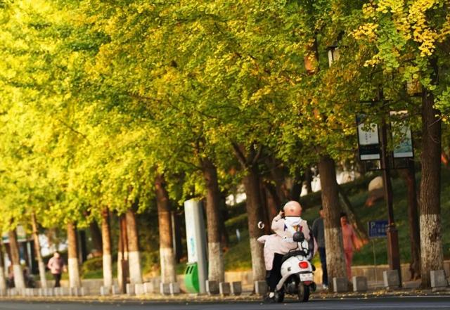 又到周末！来一场邂逅惊喜的冬日Citywalk