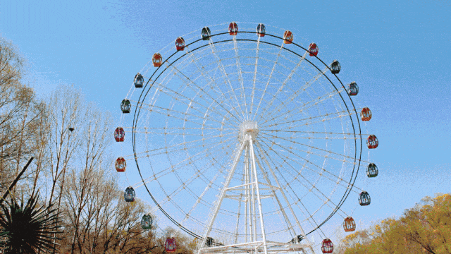 最近，洛阳人都在钻商场，怎么回事？