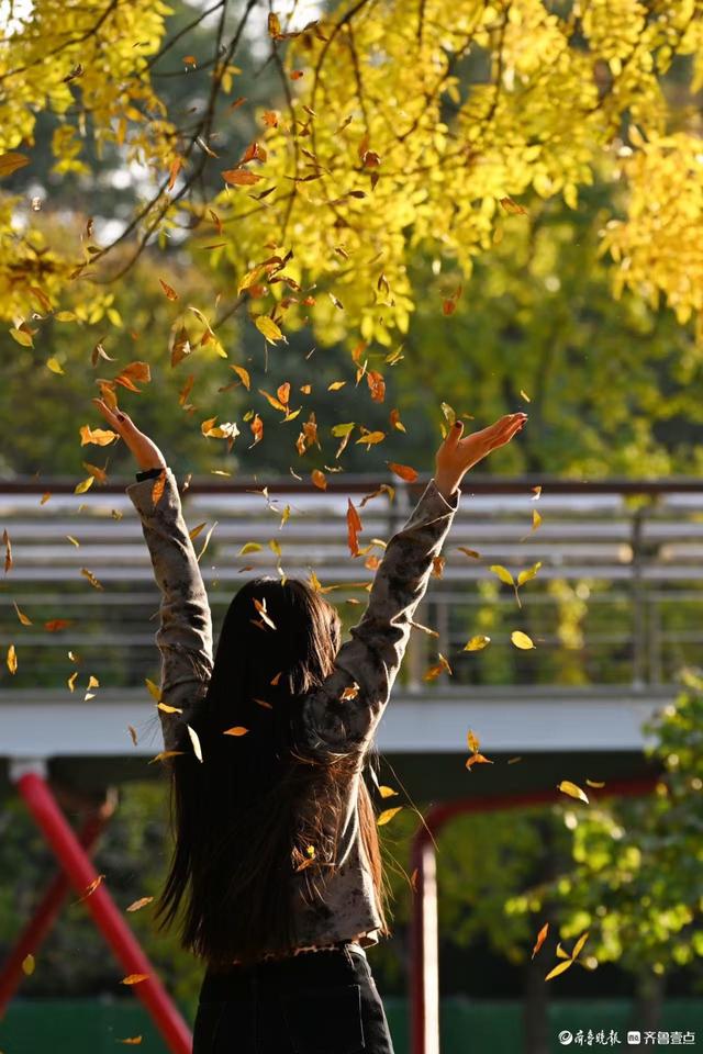 泉城公园绘秋日盛景，市民游客打卡忙