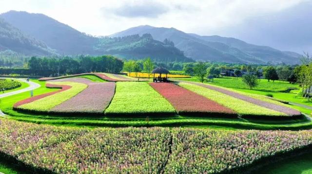 余杭“秋日恋歌”打卡地图出炉！