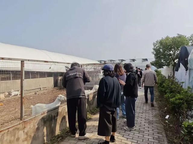 秋收分享会圆满举行！亲子组队，解锁田间趣味新体验～