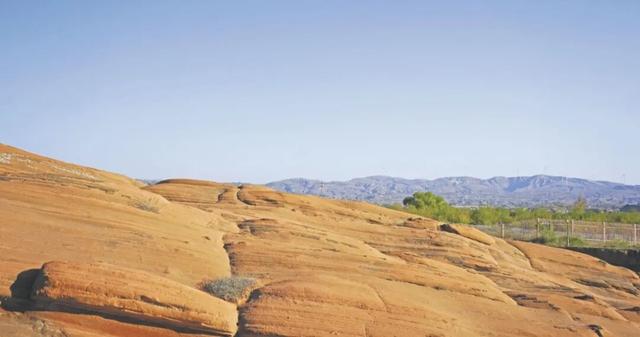 大美陕西 || 塞下秋来风景异