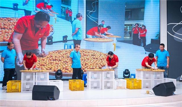 2025南酸枣之乡旅游音乐文化节暨齐云山登山节火热招募中