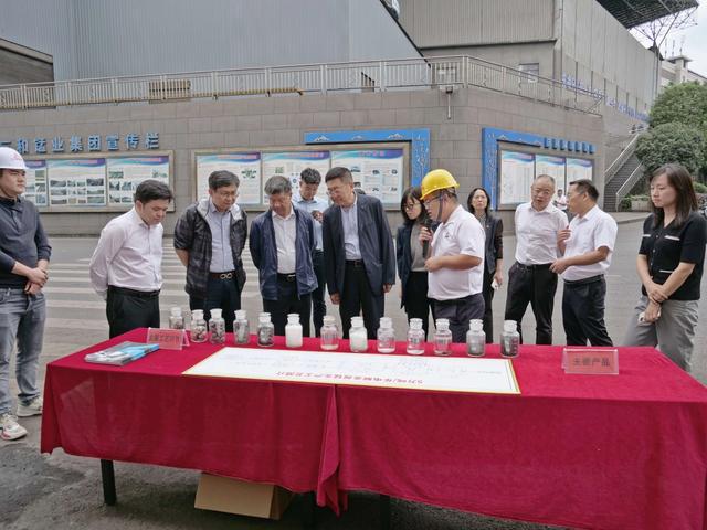 播洒科学种子 助推锰业发展 院士专家为贵州高质量发展注入科技动能
