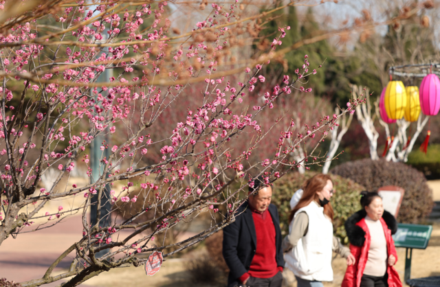 快冲！即将开遍日照！