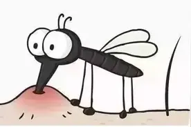 【健康科普】预防登革热 健康伴我行——登革热防控知识宣传图片