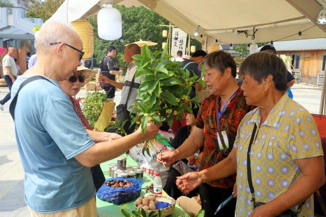 江苏苏州：“花漾苏州 桂香满城”桂花市集开市