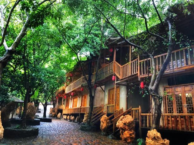 梯田、银杏、枫叶……跟着广东旅游文化节打卡清远“限定”美景